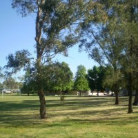 Landscape setting to Flynn Primary School
